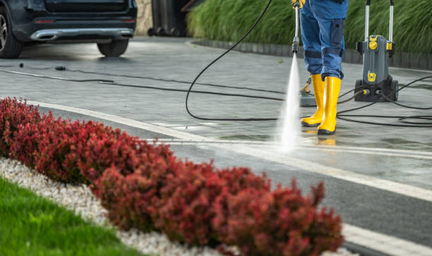 Best Driveway Cleaning and Restoration in Jemez Pueblo, NM